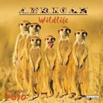 African Wildlife 2010 Wall Calendar by 