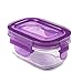 Wean Green Wean Tubs Glass Food Containers, Garden Pack (Grape, Blueberry, Carrot, Pea)