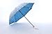 Honeystore Frilly Embroidery Lace Two Folding Parasol Travel Umbrella Blue
