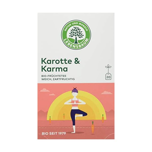 Lebensbaum Bio Früchtetee Karotte und Karma (1 x 40 g)