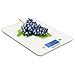 Mosiso - Ultra-Thin Touch Professional Digital Kitchen Scale (11 lbs Edition), Tempered Glass in Elegant White