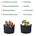 DECKNGARDEN 5-Pack 10 Gallon Grow Bags with Great Drainage and Air Permeability That Prevent Roots Circling and Allow Roots to Breath – Reinforced Handles and Extremely Durable (Bonus Free Gloves)thumb 3