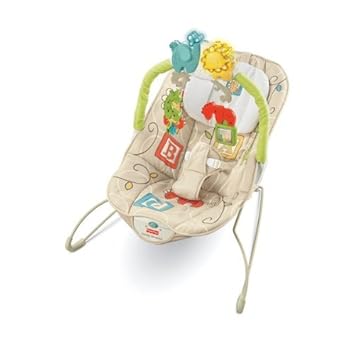 amazon fisher price bouncer