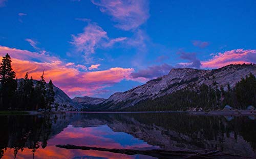 Rokinon 12mm f/2.0 NCS CS Wide Angle Lens for Sony E – Fast Aperture, Nano Coated Optics, Manual Focus, APS-C Mirrorless, Ideal for Landscape, Architecture, Low-Light Shots (Black)