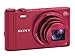 Sony DSC-WX300/R 18 MP Digital Camera with 20x Optical Image Stabilized Zoom and 3-Inch LCD (Red)