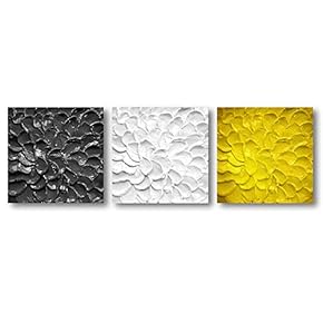 Canvas Wall Art Abstract Beautiful Flowers Features Painting Artwork for Home Prints Framed - 12"x12"x3 Panels