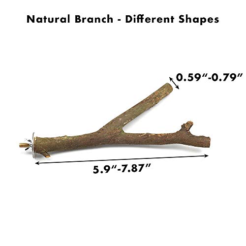 GNB PET 2 Pack Bird Perch Parrot Natural Wood Fork Stand Perch (5.9 Inches to 7.87 Inches), Birdcage Stands Platform Pet Bird Toys with Stainless Steel Washers