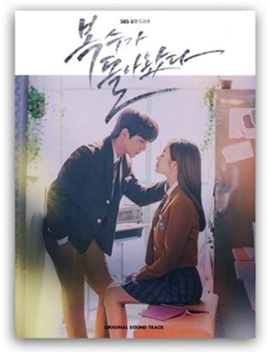 Buy My Strange Hero Korean Sbs Drama Soundtrack Online At Low Prices In India Amazon Music Store Amazon In