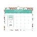 Day Designer for Blue Sky 2020 Monthly Wall Calendar, Twin-Wire Binding, 11