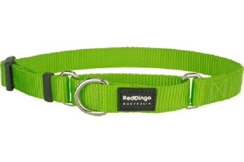 Red Dingo Martingale Classic Collar, Small-Medium, Lime Green