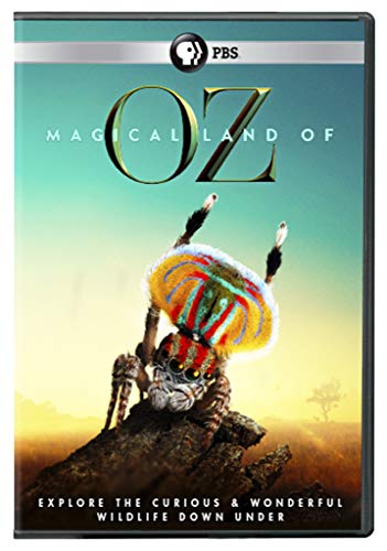 Magical Land of Oz DVD - //coolthings.us