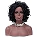 Mersi Wigs for Black Women Aferican American Wigs Short Curly Wigs Afro Kinkys Wig Synthetic Hair Wigs with Wig Cap S005