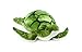 Webkinz Smaller Signature Sea Turtle