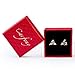 Carfeny Rose Gold Stud Earrings Triangle Shaped CZ Earrings for Women Expertly Made of Sparkling Starlight Round Cut Cubic Zirconia, Gift for Her