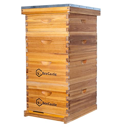 BeeCastle 10-Frame Langstroth Beehive