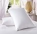 Royal Hotel Bedding Down Pillow - 500 Thread Count 100% Cotton, Down, Standard/Queen Size, Firm, Set of 2