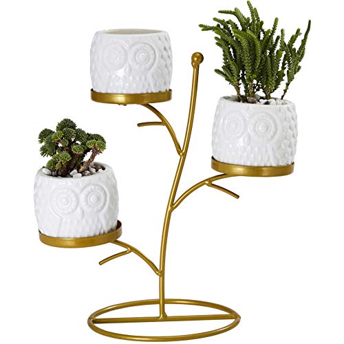 FLOWERPLUS Small Owl Succulent Planter Pots, 3 Pack 2.75 Inch White Ceramic Decorative Cactus Flower Plant Pot with Tree Tier Metal Stand for Indoor Outdoor Home Office Garden Kitchen Décor (3PP024)