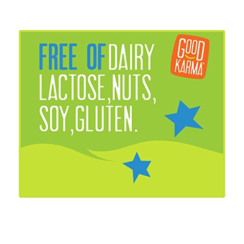Good Karma Plant-Powered Flaxmilk, Unsweetened, 10 oz Shelf-Stable Bottle (Pack of 12) Dairy-Free, Plant Based Milk Alternative...