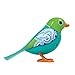 DigiBirds - Single Pack - Turquoise