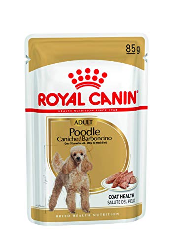 Royal Canin - Royal Canin Teckel Adult Sobres - 1348 - 12 x 85 Grs.(Bolsita) Pack Ahorro