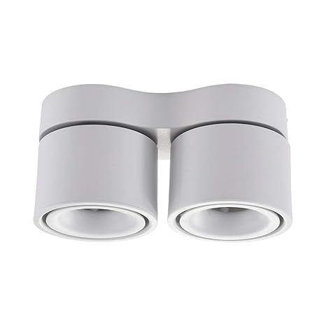 Shaoyh Nordic 12w Surface Mounted Spotlight Led Ceiling Double