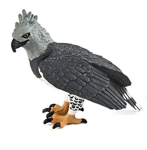 Safari Ltd. Harpy Eagle - Realistic Hand Painted Toy Figurine Model - Quality Construction from Phthalate, Lead and BPA Free Materials - For Ages 3 and Up