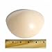 Bubbles Bodywear Ventilated Large Lightweight Silicone Boobles Bra Pads in Carry Case Peach