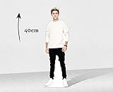 One Direction Niall Desktop Standee NEW 2014