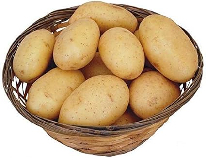 Amazon Co Jp ホームガーデンジャガイモ種子アンチリンクル栄養緑の野菜の放射線5種 パックを吸収ポテト種子を植えます ホーム キッチン