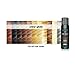 Rita Hazan Ultimate True Color Shine Gloss - Boost Hair Color with Healthy Shine - Shine Gloss for Gray Hair - Deep Conditioning Glazy Hair Gloss Treatment - 3.4 oz. Hair Gloss