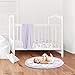 Sweet Jojo Designs Lavender Purple, Pink, Grey and White Shabby Chic Playmat Tummy Time Baby and Infant Play Mat for Watercolor Floral Collection - Rose Flower