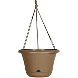 Bloem Lucca Self Watering Hanging Basket, 13