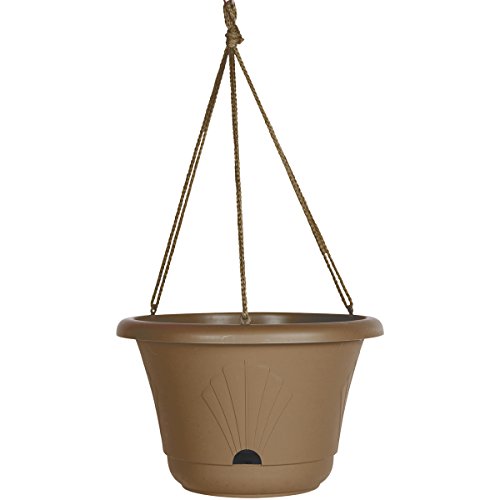Bloem 100532397 Lucca Self Watering Hanging Basket, 13