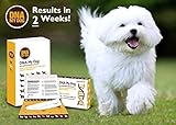 Canine Genetic Age Test DNA My Dog NEXTGEN