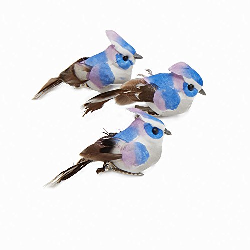 Sitting Mushroom Blue Jays with Feathered Tails | 12 Birds | for Indoor Decor