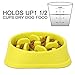 NOYAL Slow Feeder Dog Bowls Puzzle Anti-Gulping Interactive Bloat Durable Preventing Choking Healthy Dogs Bowl