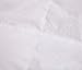 Topsleepy Luxurious Bedding Goose Down Filling Comforter, White (King Size)