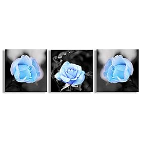 Canvas Wall Art Beautiful Flowers Collage...