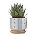 T4U 3 Inch Ceramic Succulent Planter Pots with Bamboo Tray, Japanese Style Porcelain Handicraft as Gift for Mom Sister Aunt Best for Home Office Restaurant Table Desk Window Sill Decoration