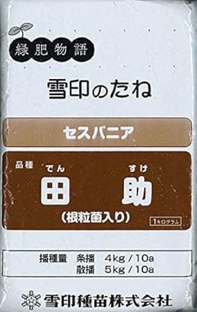 Amazon 種子 セスバニア 田助 根粒菌入り 1kg 雪印種苗のタネ Diy 工具 ガーデン