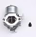 Goodbest New Carburetor for Briggs & Stratton 699831 Replaces # 694941