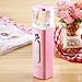 Facial Steamer, Nano Mister Spray for Eyelash Extensions Mini Portable Face Steamer USB Rechargeable Cool Mist Sprayer Moisturizing for Beauty Skin Care w/ Power Bank Pink