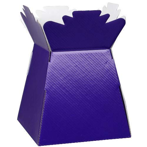 INERRA Florist Boxes - Living Vases for Flower Bouquet Box Making - Pack of 10 (Purple)