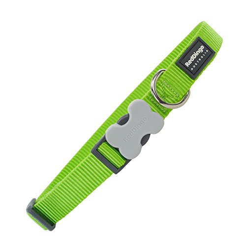 Red Dingo 25mm Classic Dog Collar, Lime Green, Large