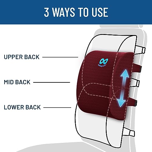 Everlasting Comfort The Original Lumbar Support Pillow Improves