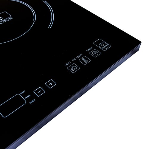 True Induction TI2C Cooktop, Double Burner, Energy Efficient, Black
