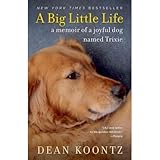 A Big Little Life A Memoir Of A Joyful Dog Koontz Dean 9781401323523 Amazon Com Books
