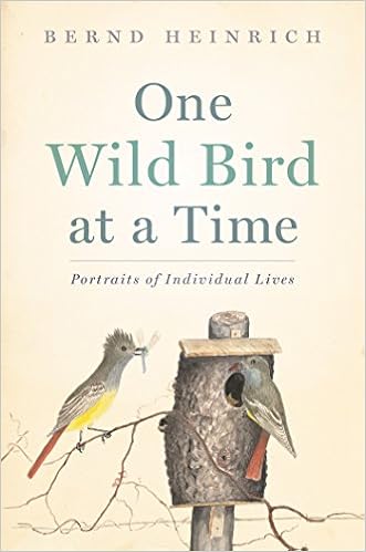 One Wild Bird At A Time Portraits Of Individual Lives - 