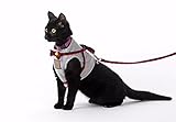 Bestag Cat Harnesses Traction Kit Elegant British Style Jacket with Leash and Collar (Large, Gray)