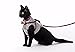 Bestag Cat Harnesses Traction Kit Elegant British Style Jacket with Leash and Collar (Large, Gray)